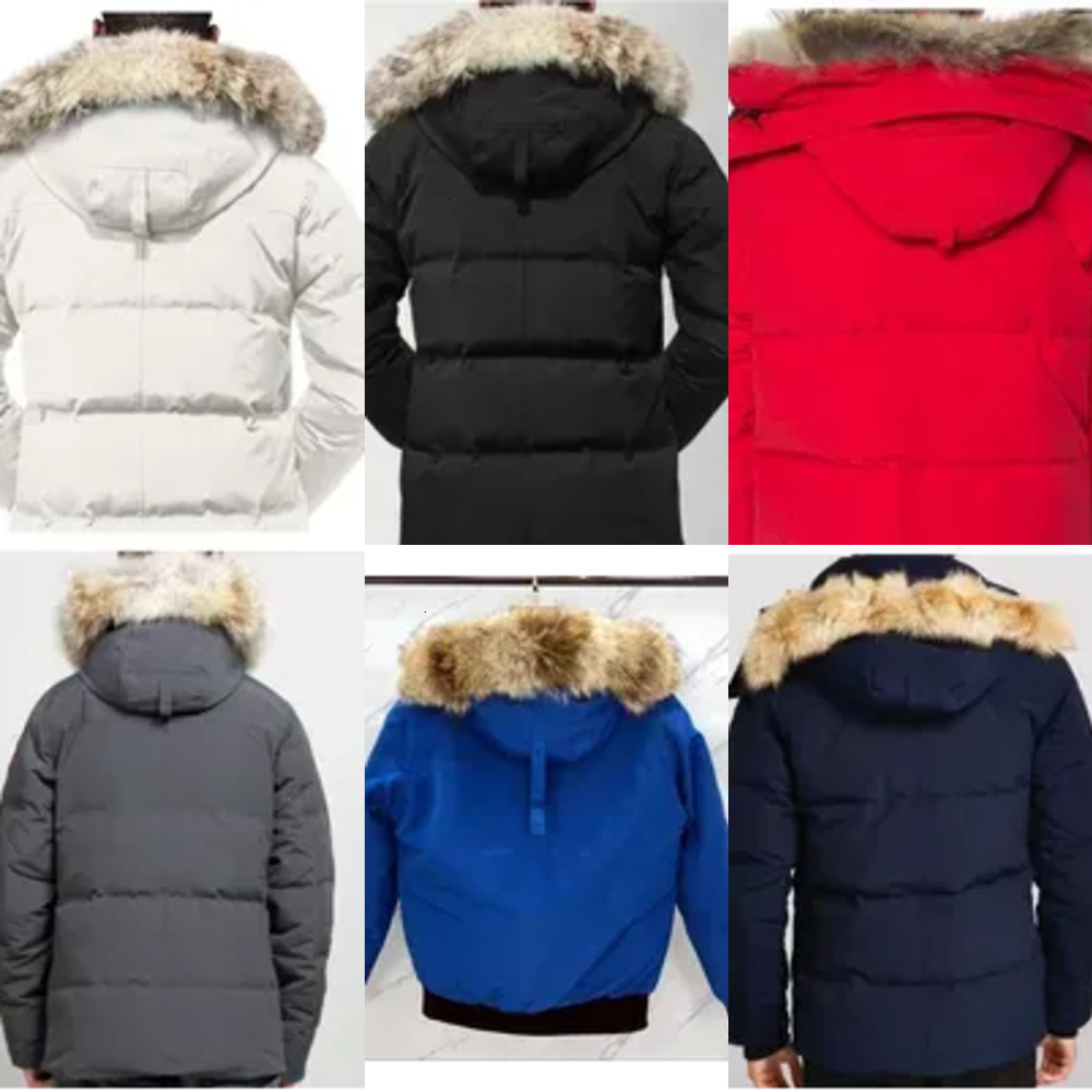 Down Jacket Canada … - image