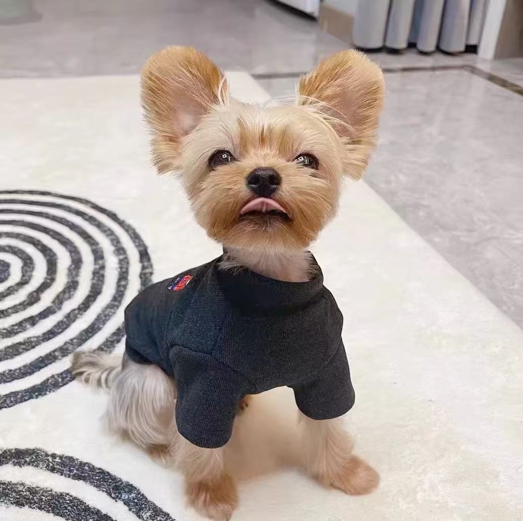 T0082Autumn and winter winter wear plush warm two-legged cotton-padded jacket for small dogs and puppies