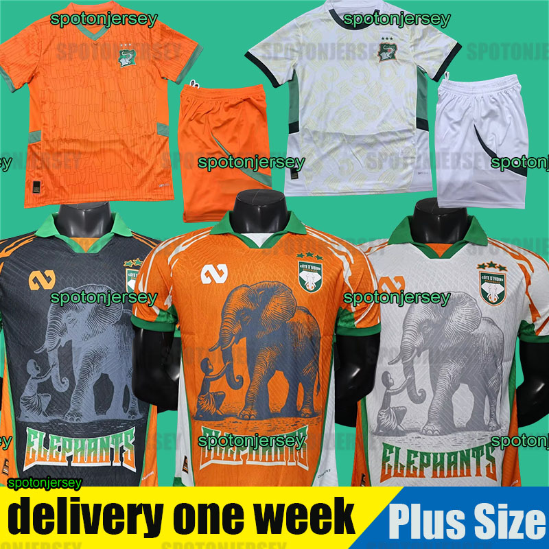 Ivory Cote dIvoire Soccer Jersey Vintage CoastS 2026 d'Ivoire Football Shirt Tops Camiseta Futbol Men Home Away Trikot Player version Fans 2025 2026