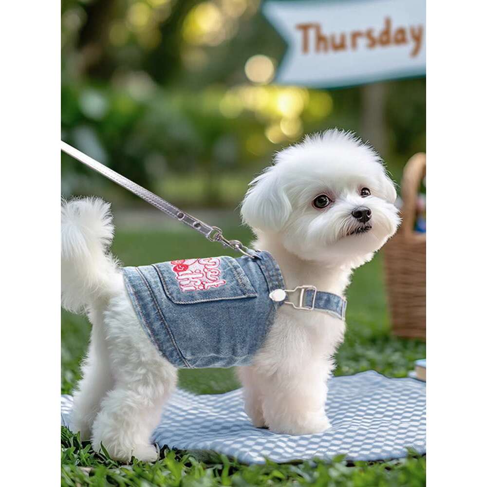 Dog clothes for summer, thin pet, small dog comparable to bear, Schnauzer, Yorkshire, denim vest, can be pulled