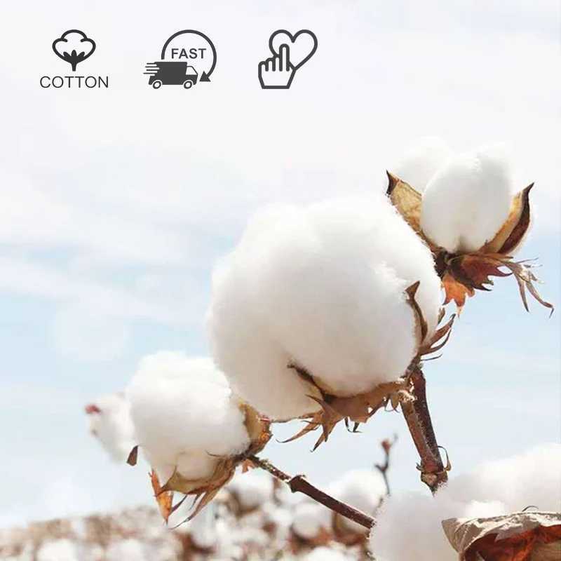 Women Socks Cotton Black White Striped Camellia Flower Socks For Ladies Girls Gift Calcetines Mujer Lolita Cute Kawaii Lace Sock J251128