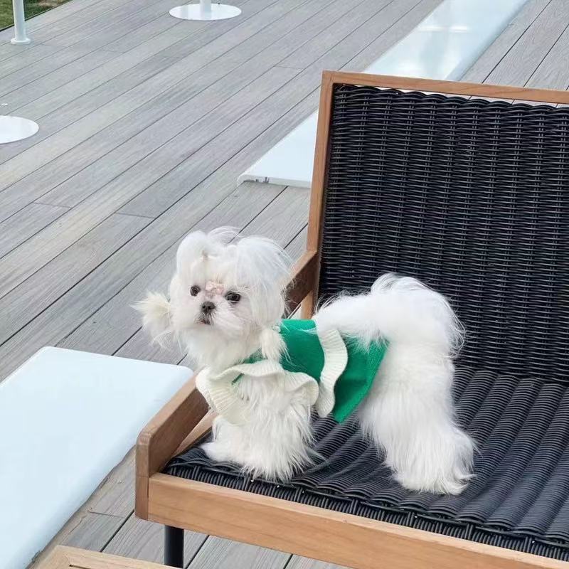 T0089Yorkshire Terrier suspenders sweater autumn and winter warm clothing small dog