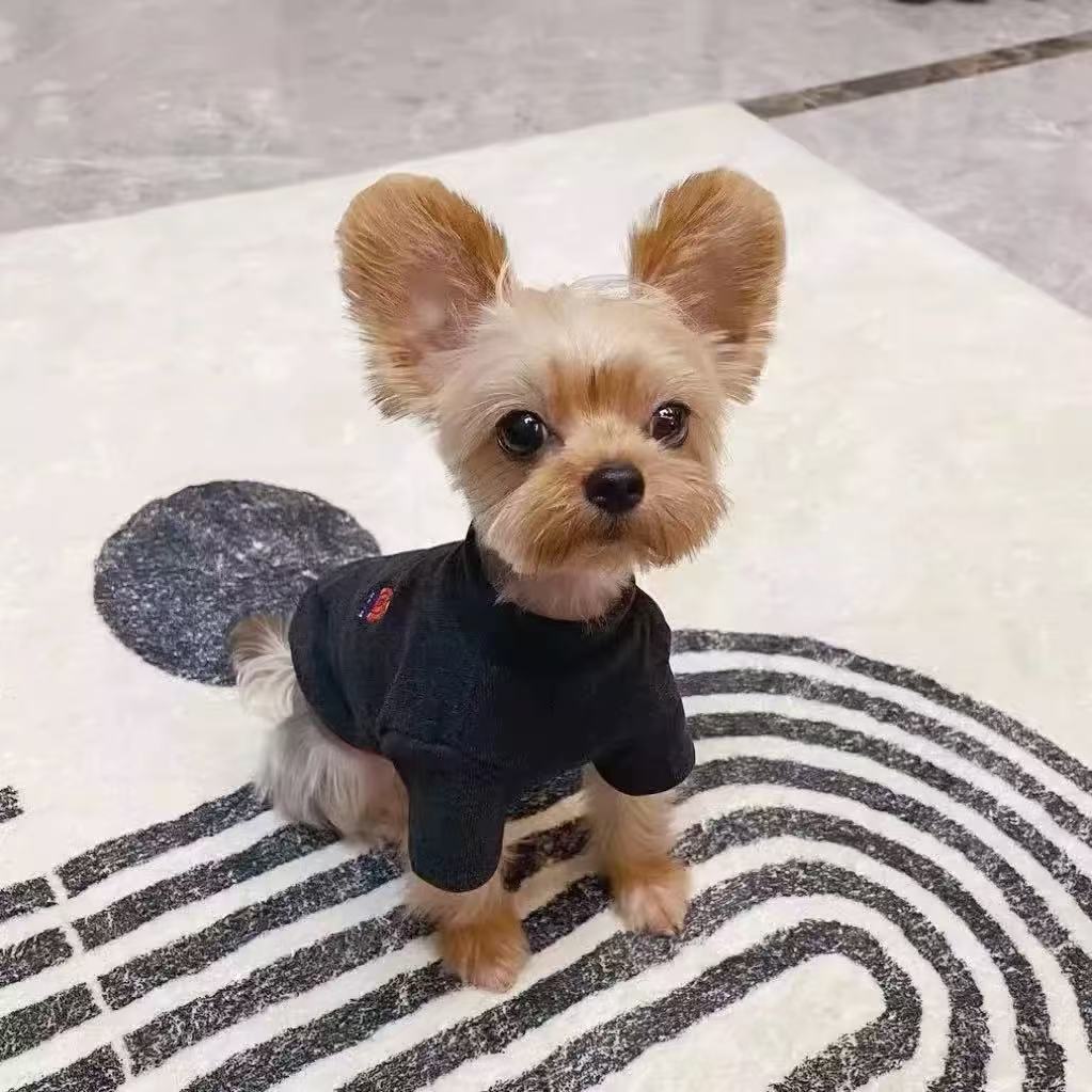 T0082Autumn and winter winter wear plush warm two-legged cotton-padded jacket for small dogs and puppies