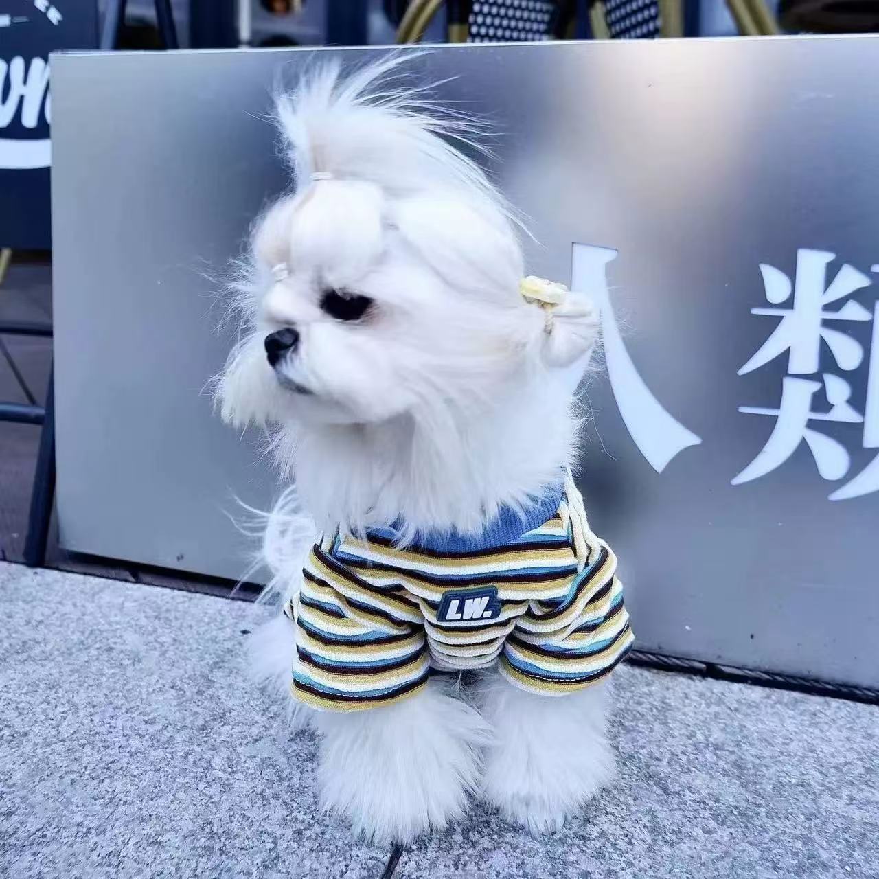T0091Puppy Yorkshire Terrier Hooded Sweater Warm Vest Autumn and Winter Small Dog
