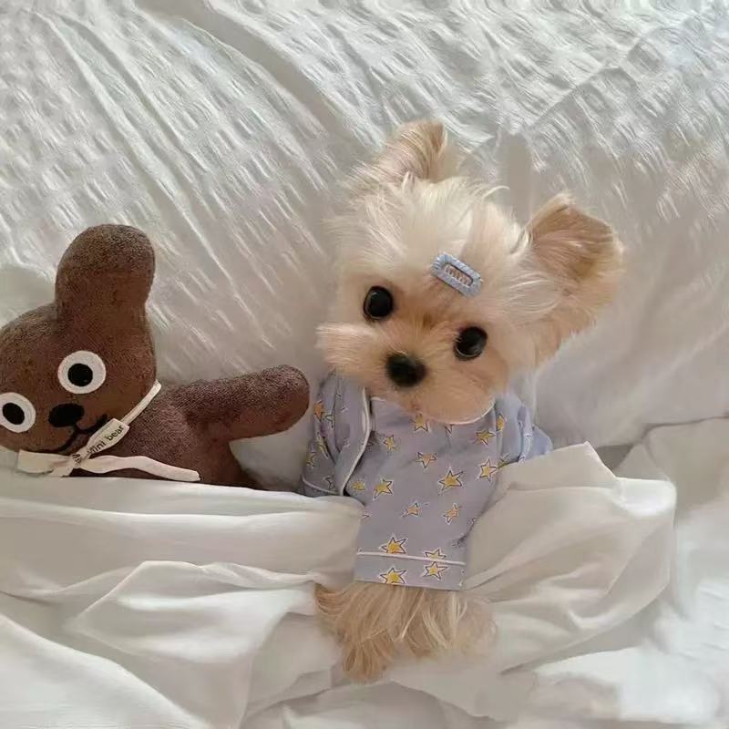 T0086Clothes puppy Yorkshire terrier hooded sweater warm vest autumn and winter small dog
