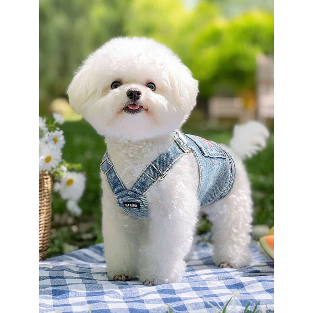 Dog clothes for summer, thin pet, small dog comparable to bear, Schnauzer, Yorkshire, denim vest, can be pulled