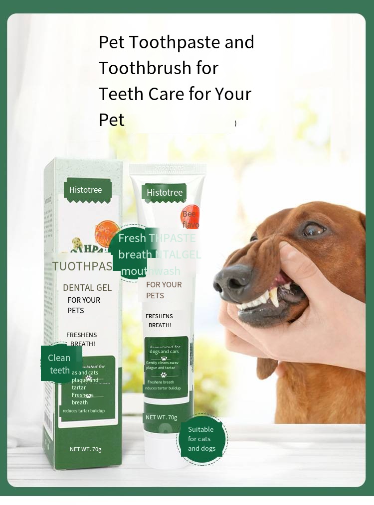 Pet toothpaste, dog and cat oral cleaning products, beef flavored and vanilla flavored - view 1