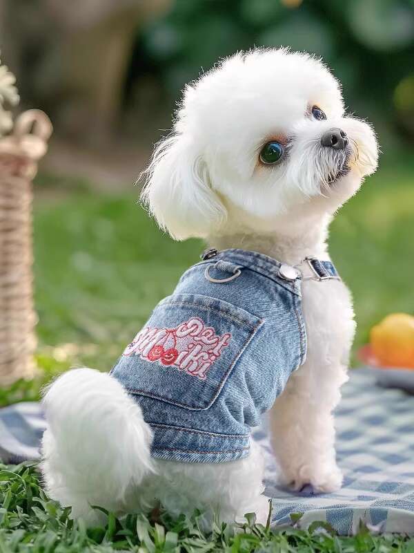 Dog clothes for summer, thin pet, small dog comparable to bear, Schnauzer, Yorkshire, denim vest, can be pulled