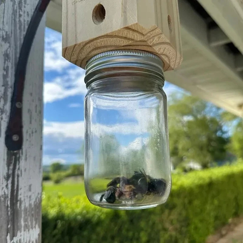 Carpenter Bee Trap - Five story roof style natural hanging carpenter bee trap - insect trap with detachable safe 250425