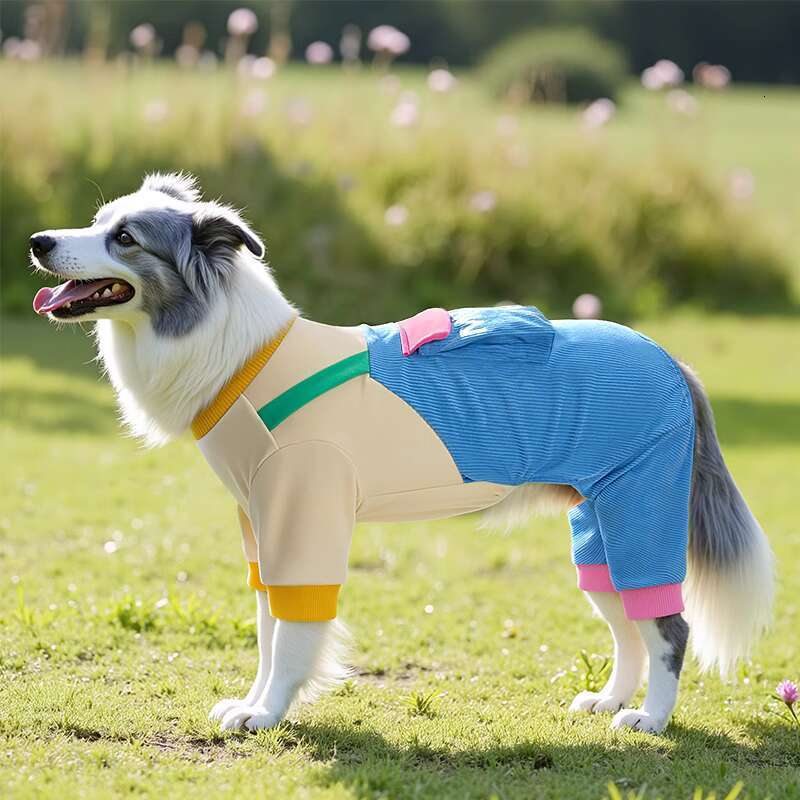 Big Clothes Autumn Golden Hair Huge Expensive Medium and Large Dog Labrador border collie Dirt proof Four legged Pet Spring