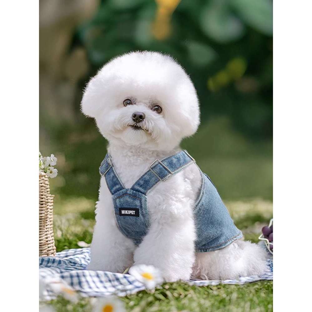 Dog clothes for summer, thin pet, small dog comparable to bear, Schnauzer, Yorkshire, denim vest, can be pulled