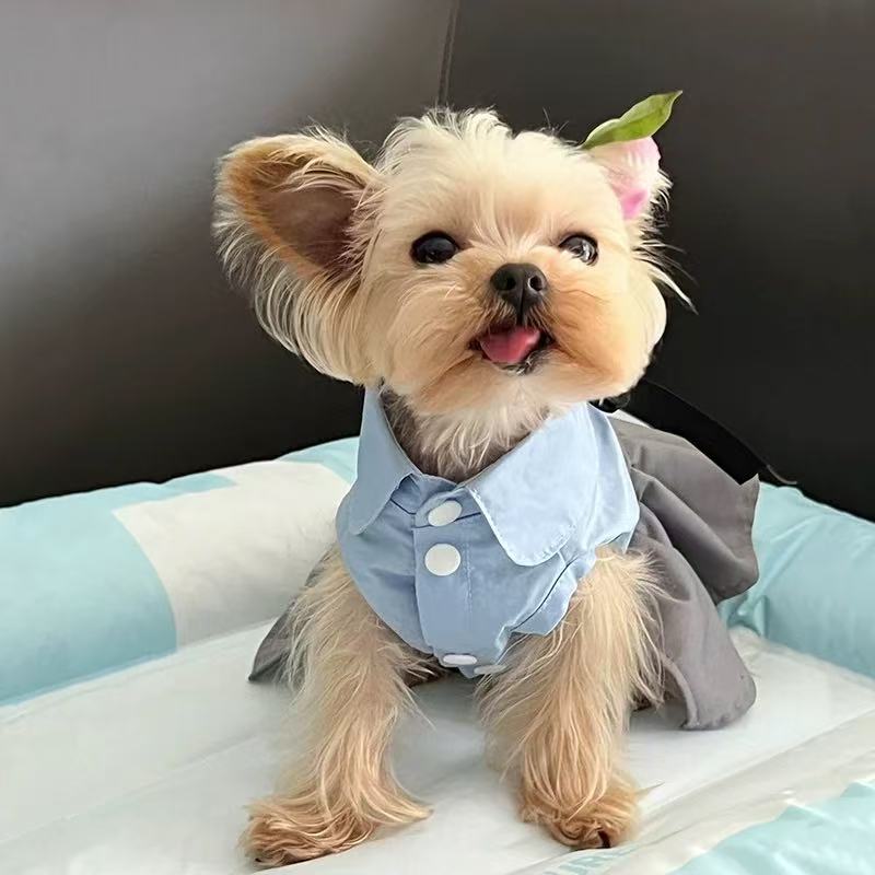 T0085Dog sweatshirt autumn and winter winter plus velvet warm two-legged cotton coat for small puppies