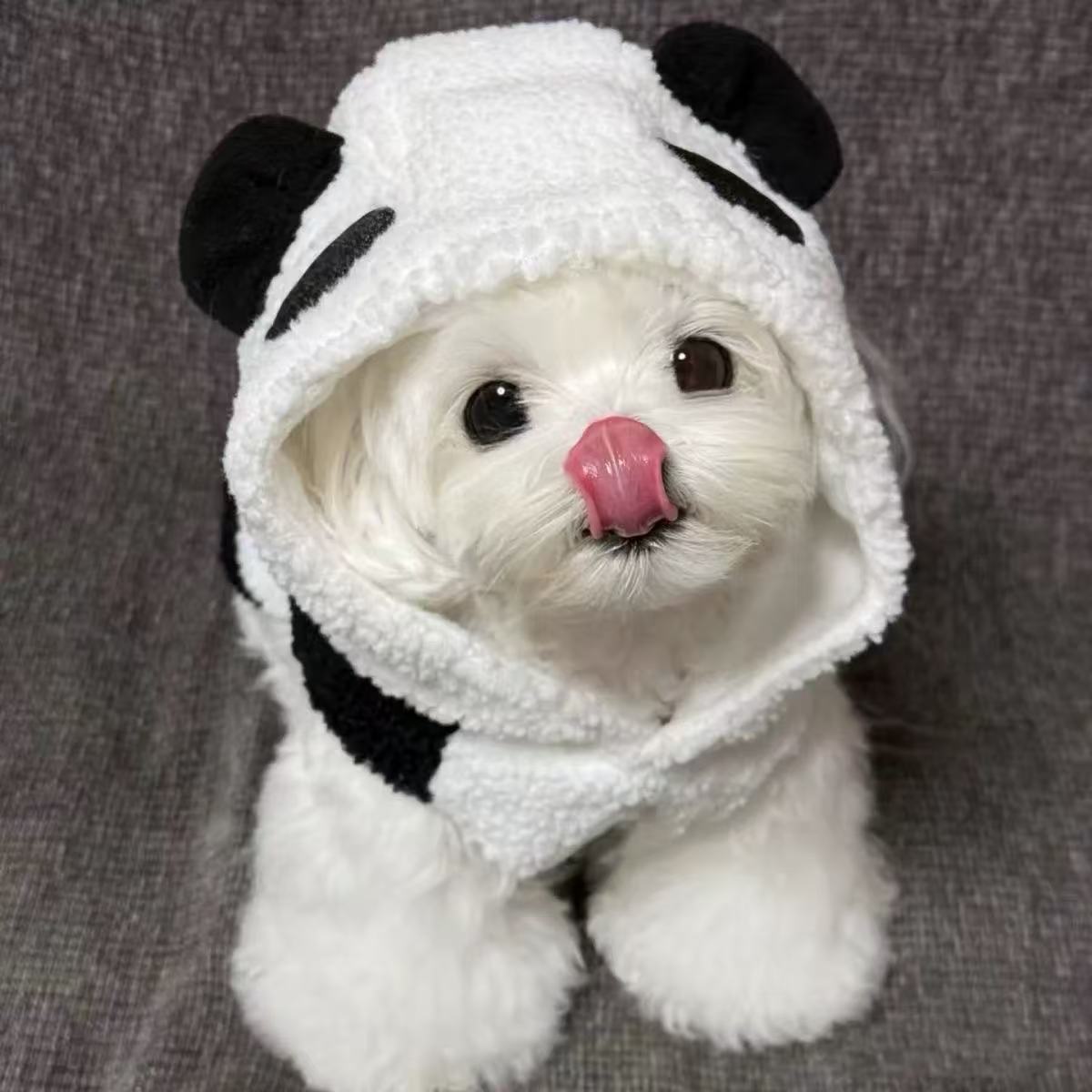 T0088Summer dog special four-legged clothes Maltese base shirt cotton clothes winter style winter clothes cotton jacket puppies