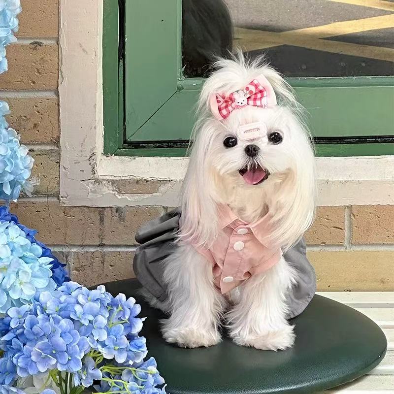 T0085Dog sweatshirt autumn and winter winter plus velvet warm two-legged cotton coat for small puppies