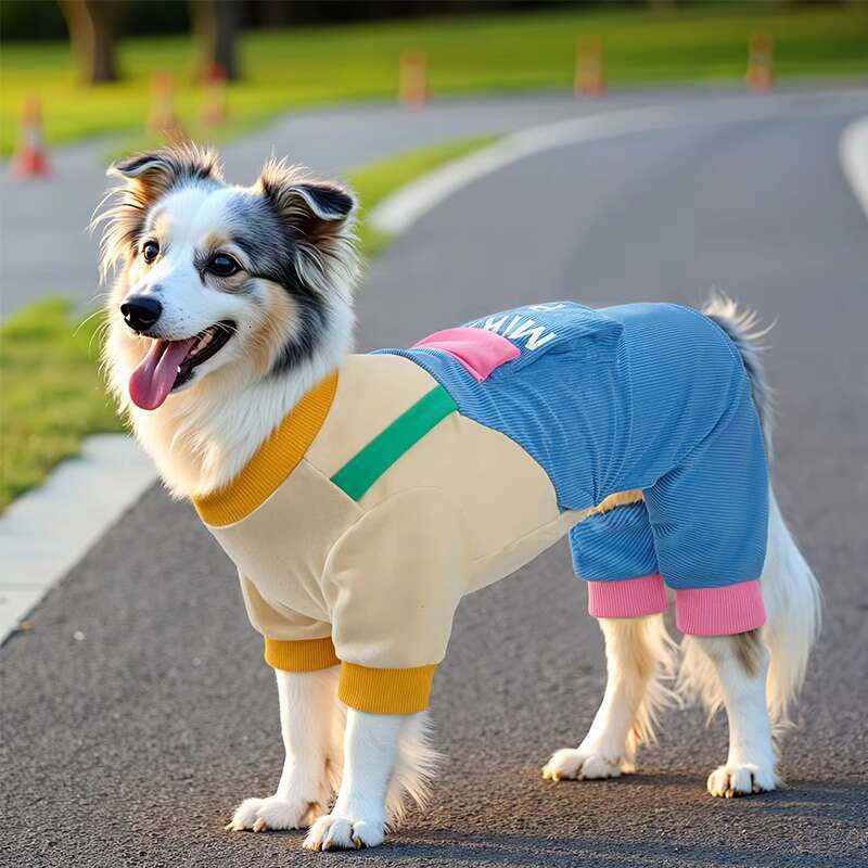 Big Clothes Autumn Golden Hair Huge Expensive Medium and Large Dog Labrador border collie Dirt proof Four legged Pet Spring