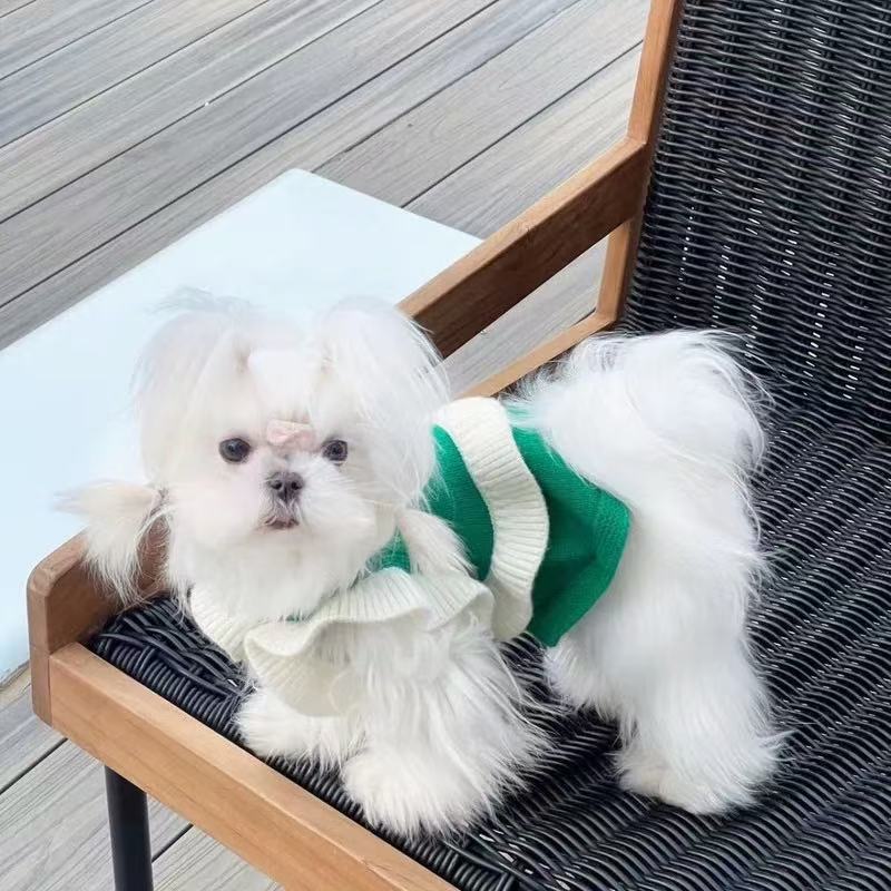 T0089Yorkshire Terrier suspenders sweater autumn and winter warm clothing small dog