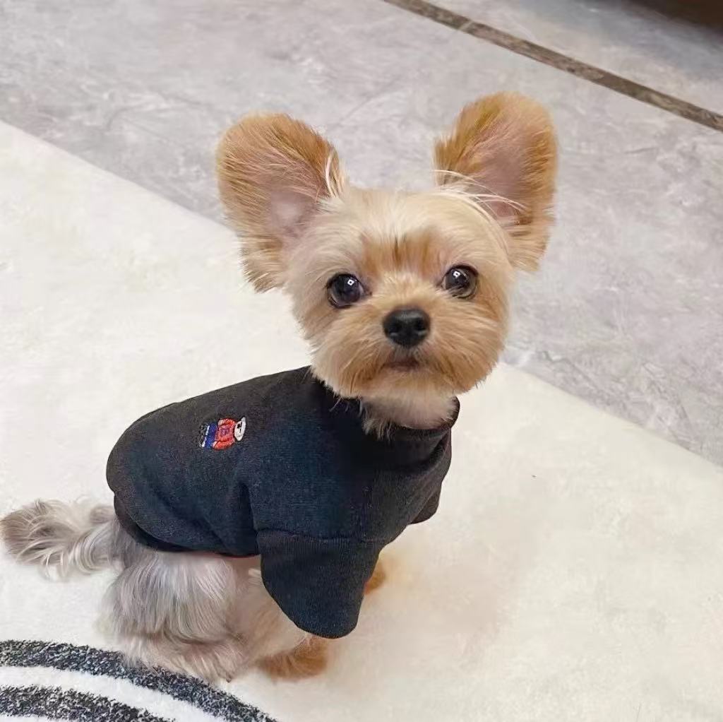 T0082Autumn and winter winter wear plush warm two-legged cotton-padded jacket for small dogs and puppies