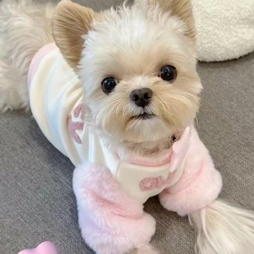 T0087Clothes skirt puppy Yorkshire sweater autumn and winter winter winter clothes small dog