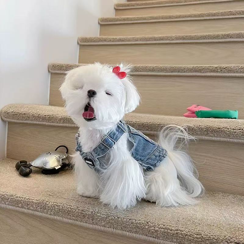 T0081Clothes autumn and winter warm Maltese fawn sweater small dog puppy