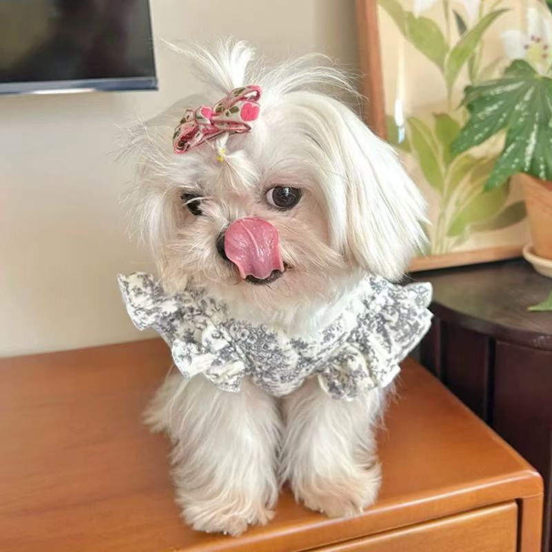T0084Clothes dog home clothes pajamas spring and autumn autumn clothes to prevent cold air conditioning