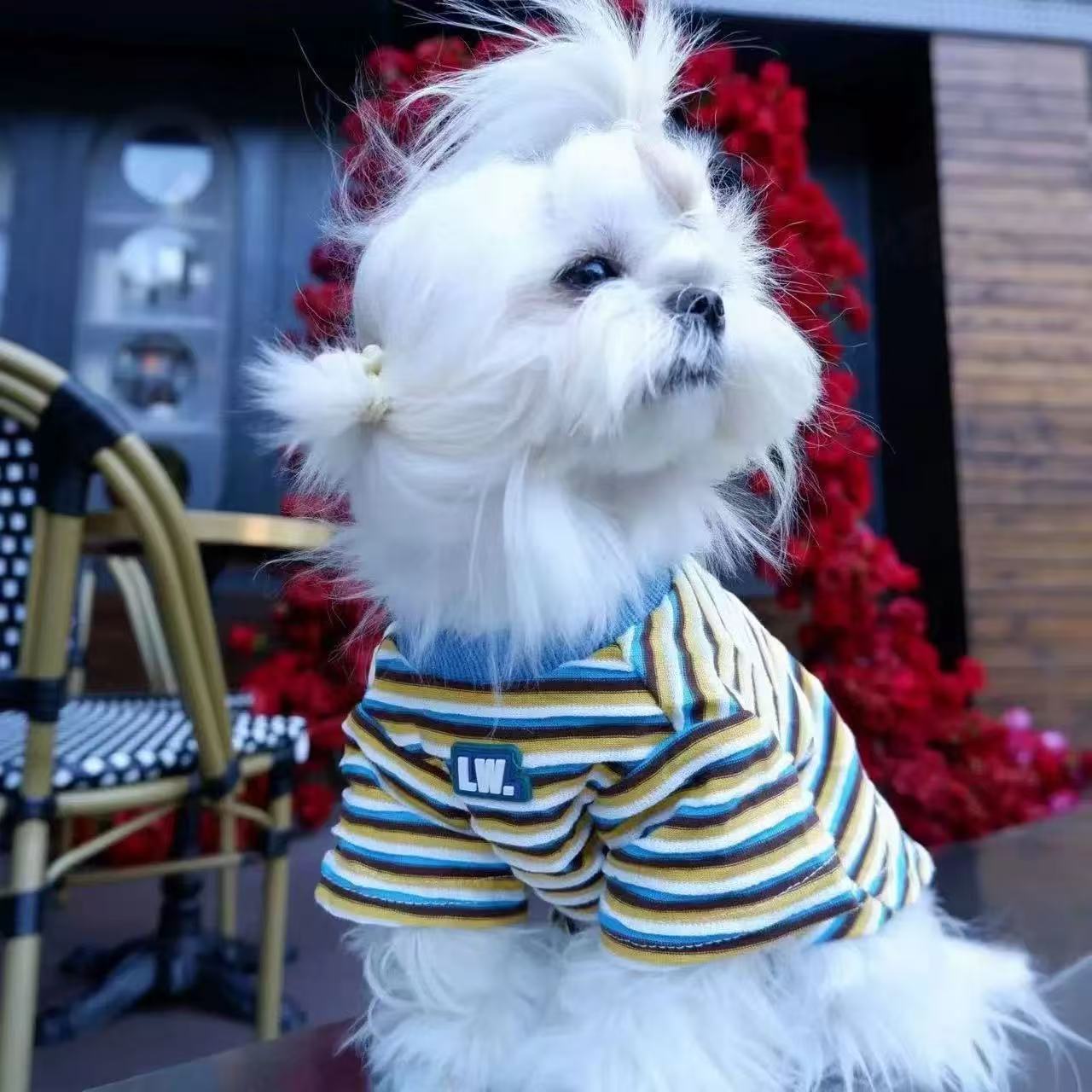 T0091Puppy Yorkshire Terrier Hooded Sweater Warm Vest Autumn and Winter Small Dog
