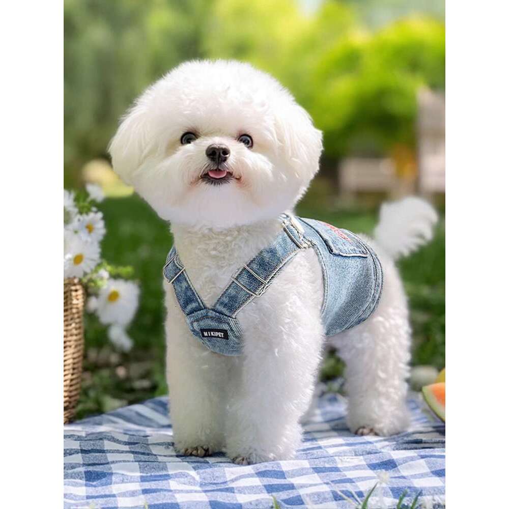 Dog clothes for summer, thin pet, small dog comparable to bear, Schnauzer, Yorkshire, denim vest, can be pulled
