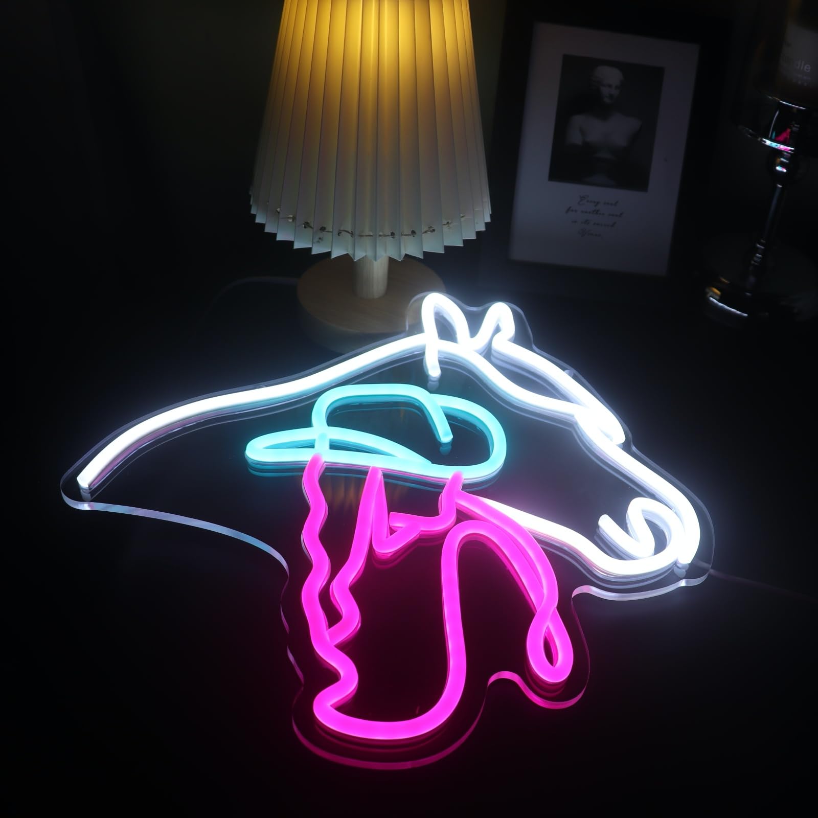 Multicolored Cowgirl and Horse LED Neon Board Ideal Interior Decoration Item