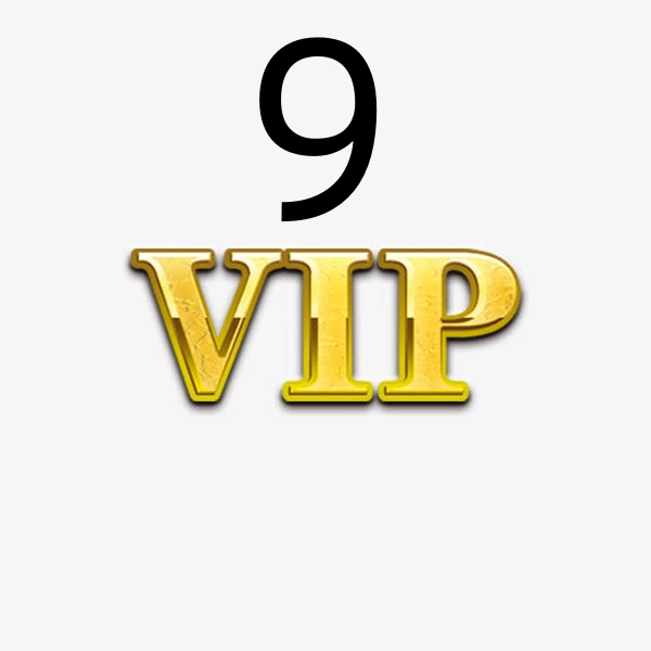 VIP bracelet bags The honorable payment link is used by customers to repeat purchases or change order prices 8