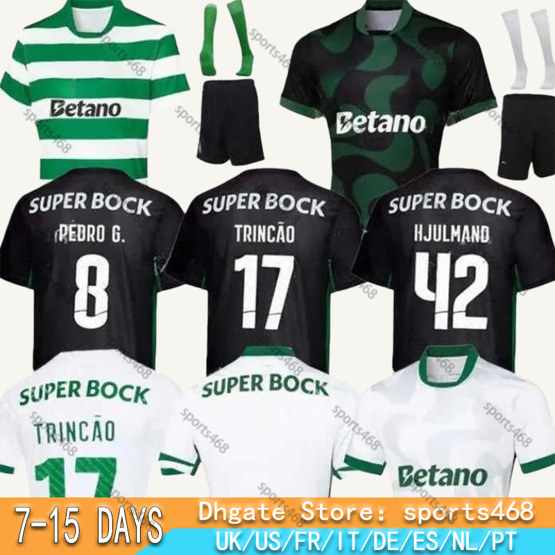 2025 2026 Lisbons S… - image