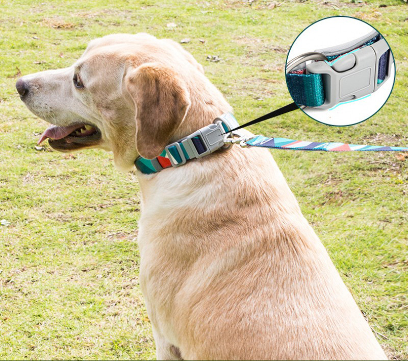 Factory Custom & Free Designer Nylon/polyester Pet Collar | Comfortable Neoprene Material Adjustable Pet Dog Collar | Comfortable Safety Collar