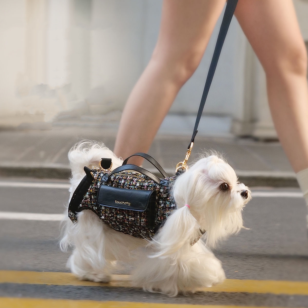 Carrier, Portable Messenger Bag for Small Medium Dogs, Puppy Carrier with Adjustable Strap, Handheld Dog Harness C15