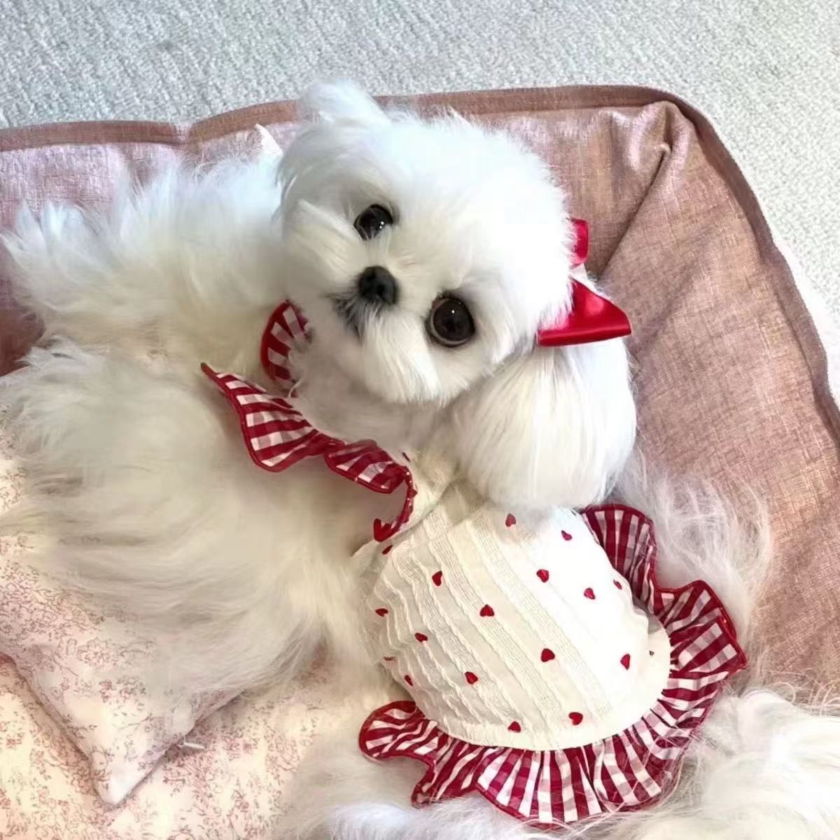T0094Autumn Style Pet Dress: Adorable Preppy Skirt for Miniature Dogs