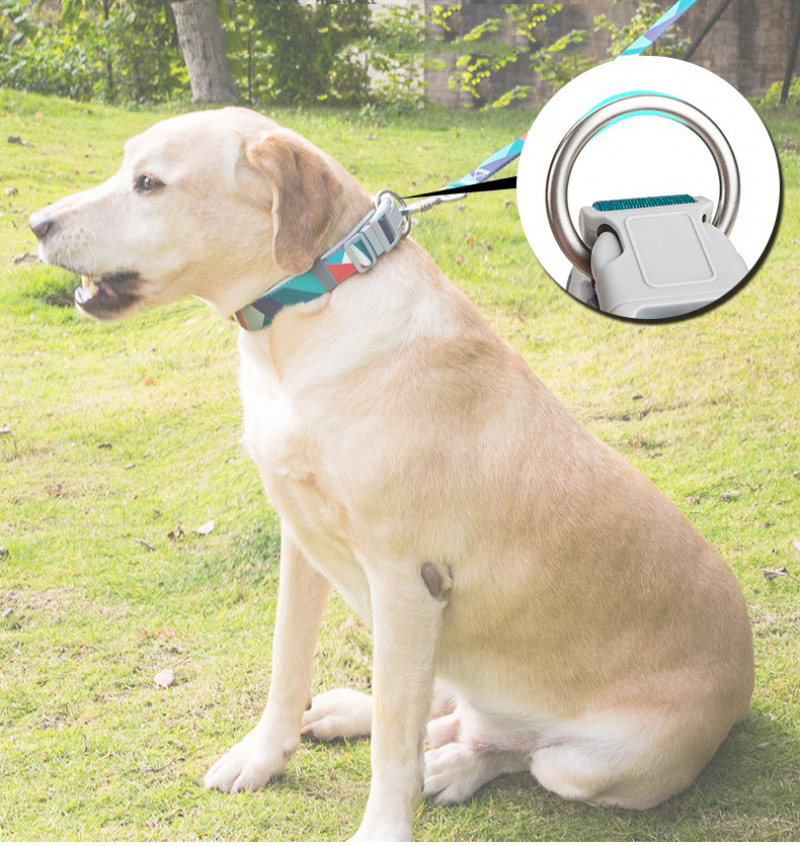 Factory Custom & Free Designer Nylon/polyester Pet Collar | Comfortable Neoprene Material Adjustable Pet Dog Collar | Comfortable Safety Collar