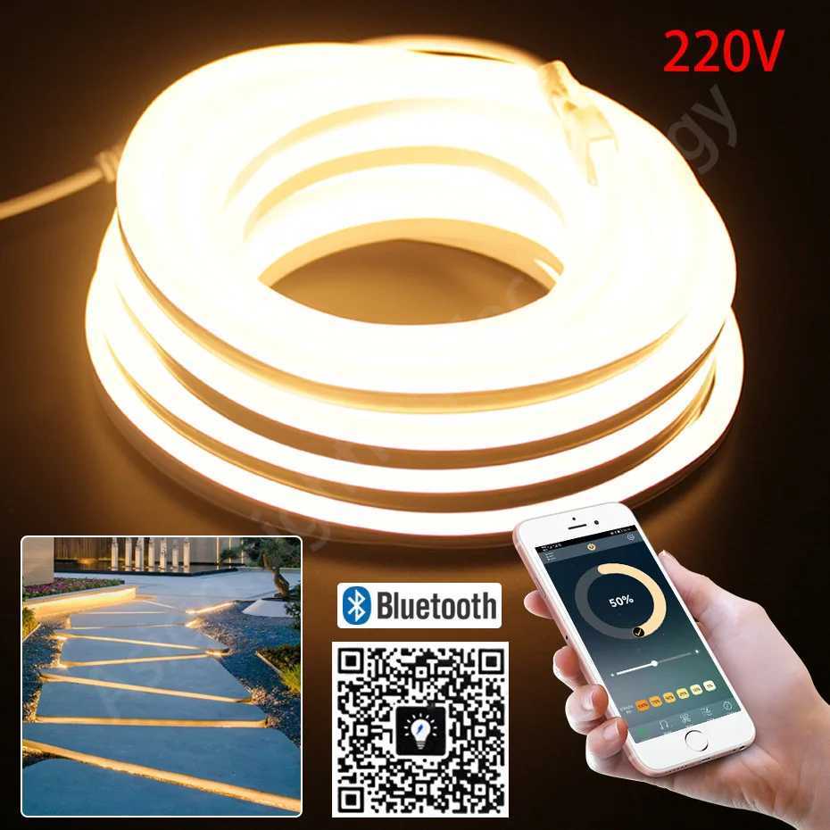 LED Neon Strip 220V 2835 120 LEDs/m Flexible Neon Lamp Light Waterproof Outdoor Holiday Decorative Bluetooth WiFi Tuya Smart APP M251129