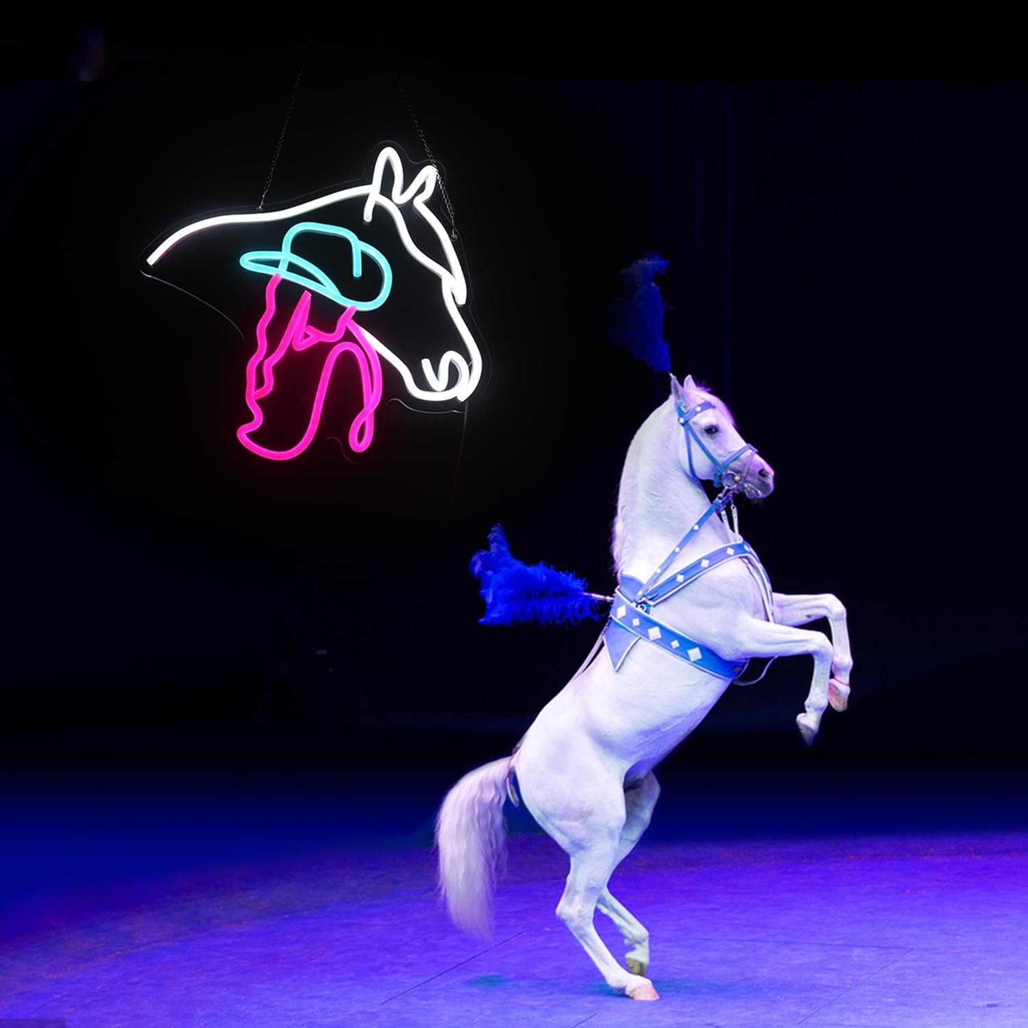 Multicolored Cowgirl and Horse LED Neon Board Ideal Interior Decoration Item
