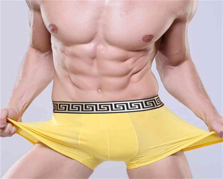 Brand Designer Men039s Sexy Underwear Quality Cotton 4pcslot Men Breathable Underwear Branded Boxers Underwear Asian Size L TO5211518