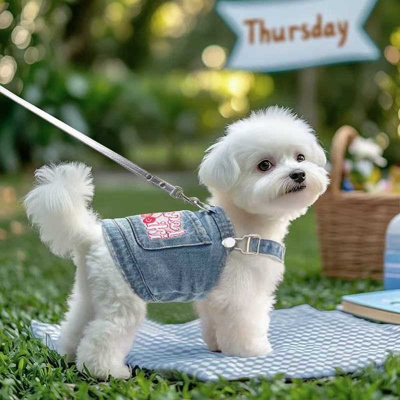 T00100 Stylish Pet Jacket Breathable Denim Coat with Traction Straps for Miniature Breeds