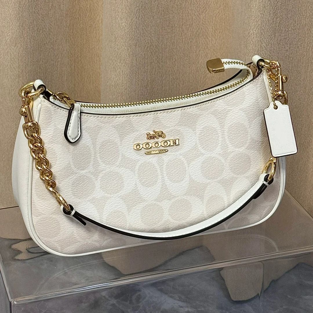 Teri bag Luxury Designer Bag Designer Crossbody Bag Women Designer Purse Women Chain Bags Shoulder Bag for Women Luxury Bag Purse Bag Women Fashion Purse 10A