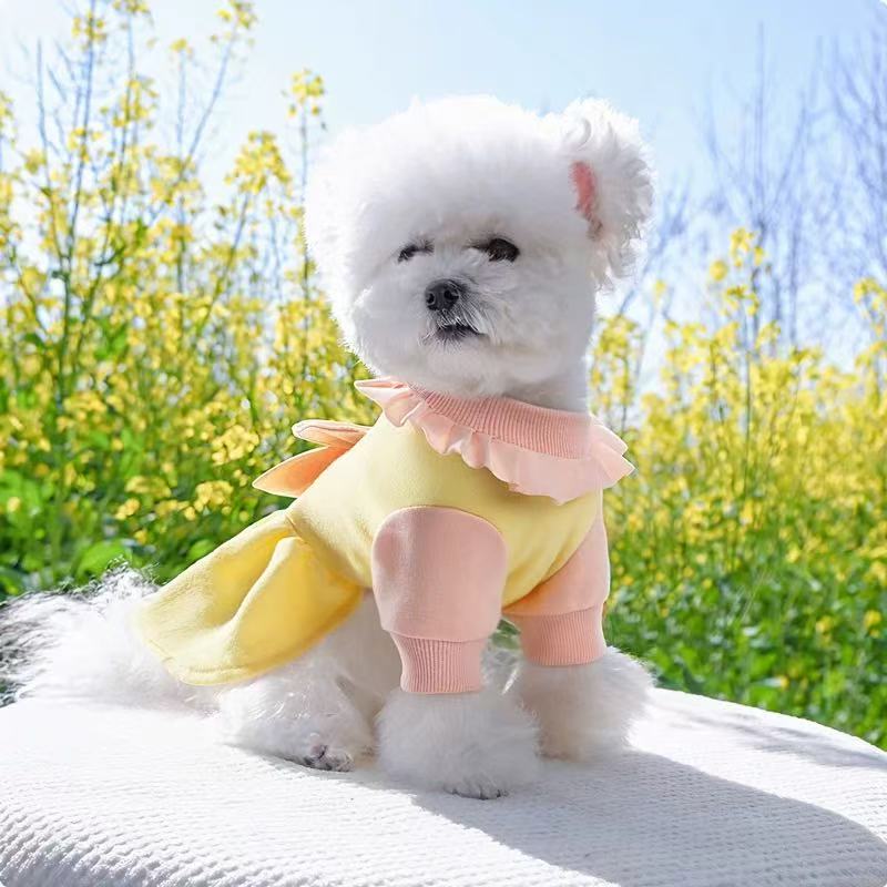 T00106Dog clothes spring and autumn small dog pet traction princess dress Bichon Teddy Schnauzer spring sweater dress