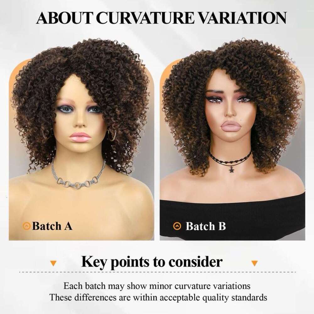 Hanne Fashion Short Kinky Ombre Brown Side Part Afro Curly Wig Twist Out Wigs Heat Resistant Fiber Synthetic Full Hair for Black Women (1B 30)