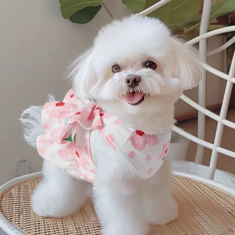 T00107Dog clothes spring and summer with leash princess skirt pet Bichon Frise Pomeranian Teddy spring and autumn dress