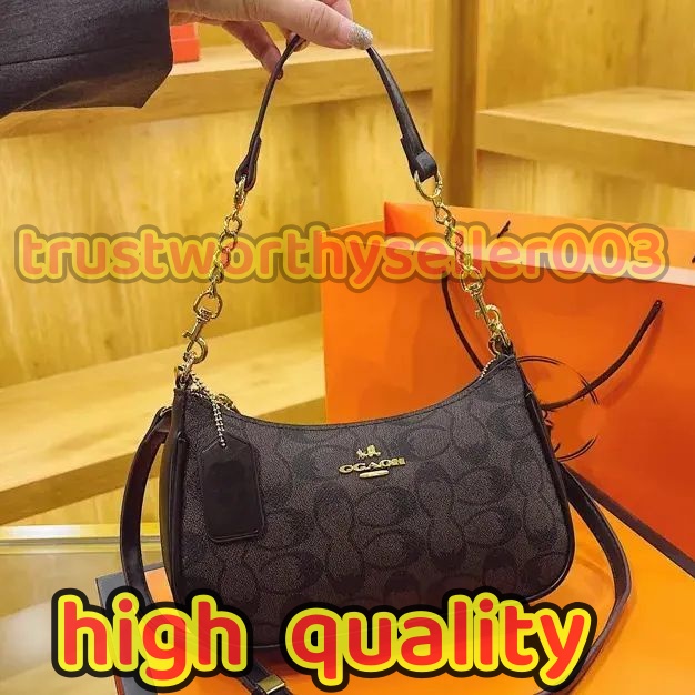 10A designer bag luxury high quality ccoacher handbag designer bags for women crossbody bags designer women chain bags designer bag teribag purse fashion saddle bag