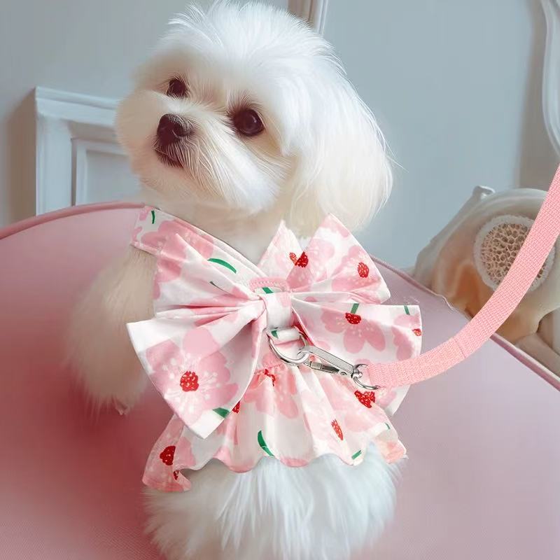 T00107Dog clothes spring and summer with leash princess skirt pet Bichon Frise Pomeranian Teddy spring and autumn dress