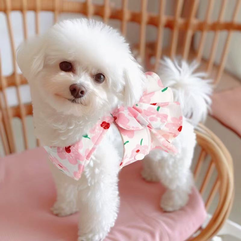 T00107Dog clothes spring and summer with leash princess skirt pet Bichon Frise Pomeranian Teddy spring and autumn dress
