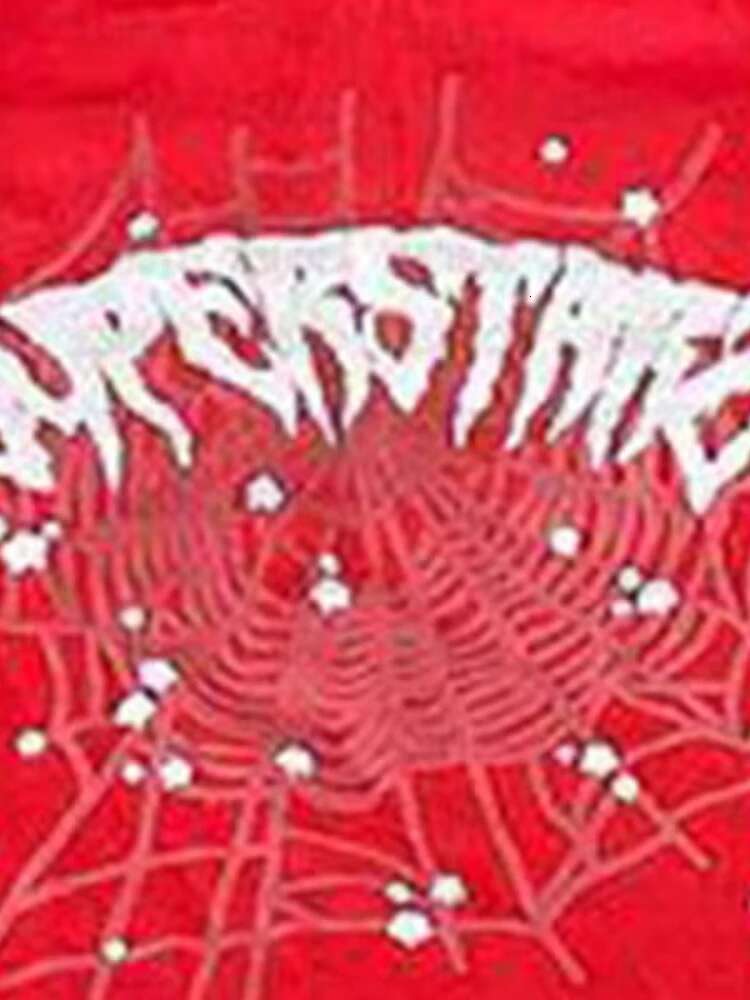 BIG PROMOTION Y2K European and American Autumn/spring Men's Hip Hop Street Spider Web Letter Printed Loose Hooded Sweater fashion clothing women