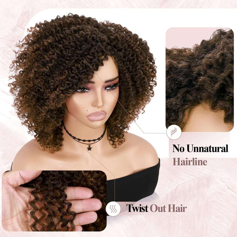 Hanne Fashion Short Kinky Ombre Brown Side Part Afro Curly Wig Twist Out Wigs Heat Resistant Fiber Synthetic Full Hair for Black Women (1B 30)