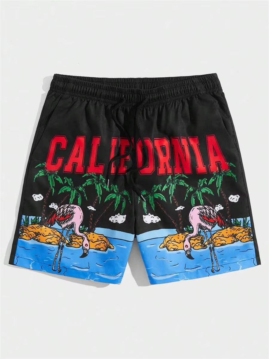 New Men's Summer Loose 3D Printing Casual Animation Print Haruku Sports Quick Drying Shorts