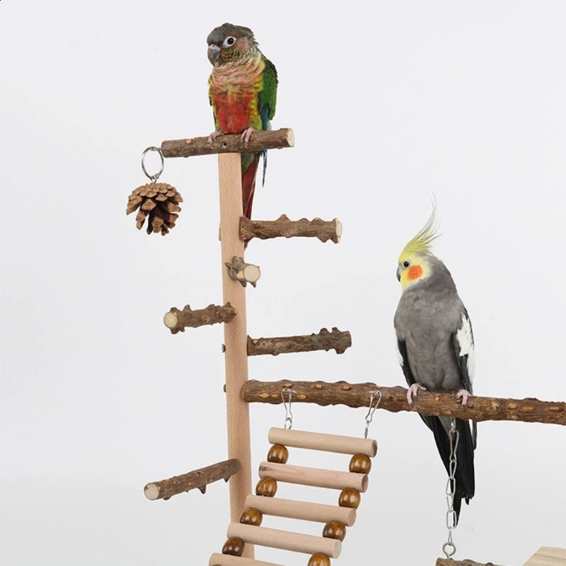 sale Bird Swing Toy Wooden Parrot Perch Stand Playstand With Chewing Beads Cage Playground Bird Swing Toy Wooden Parrot Perch 250121