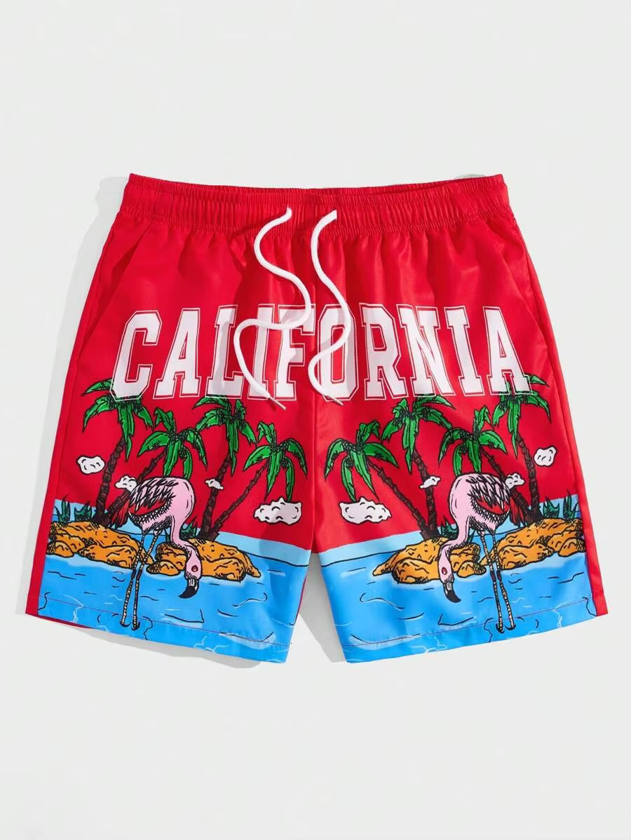New Men's Summer Loose 3D Printing Casual Animation Print Haruku Sports Quick Drying Shorts