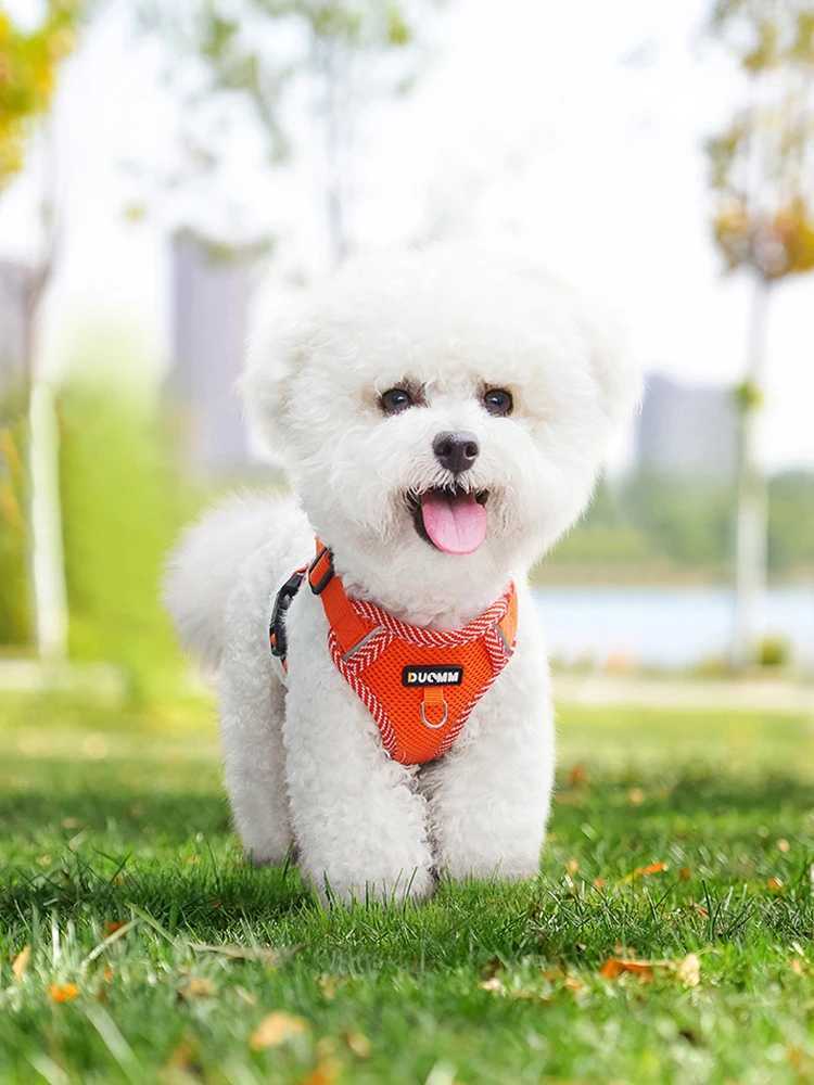4-point Adjustment Dog Harness and Leash Set for Small Dogs Reflective Mesh Dog Harness Vest Puppy Cat Chest Strap Pet Supplies 250116